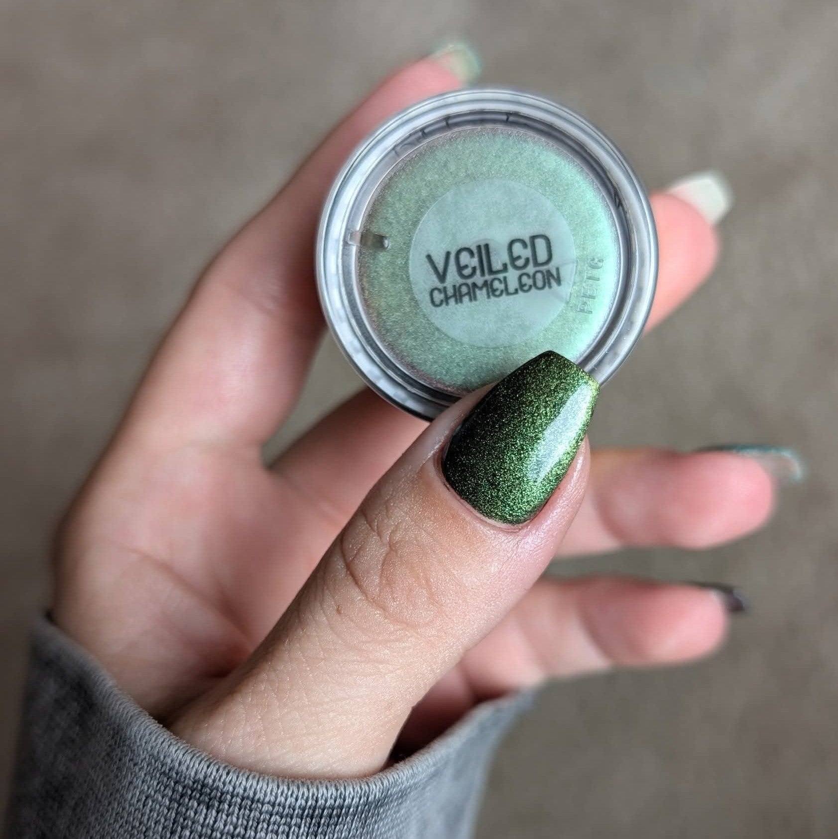 Veiled Chameleon
