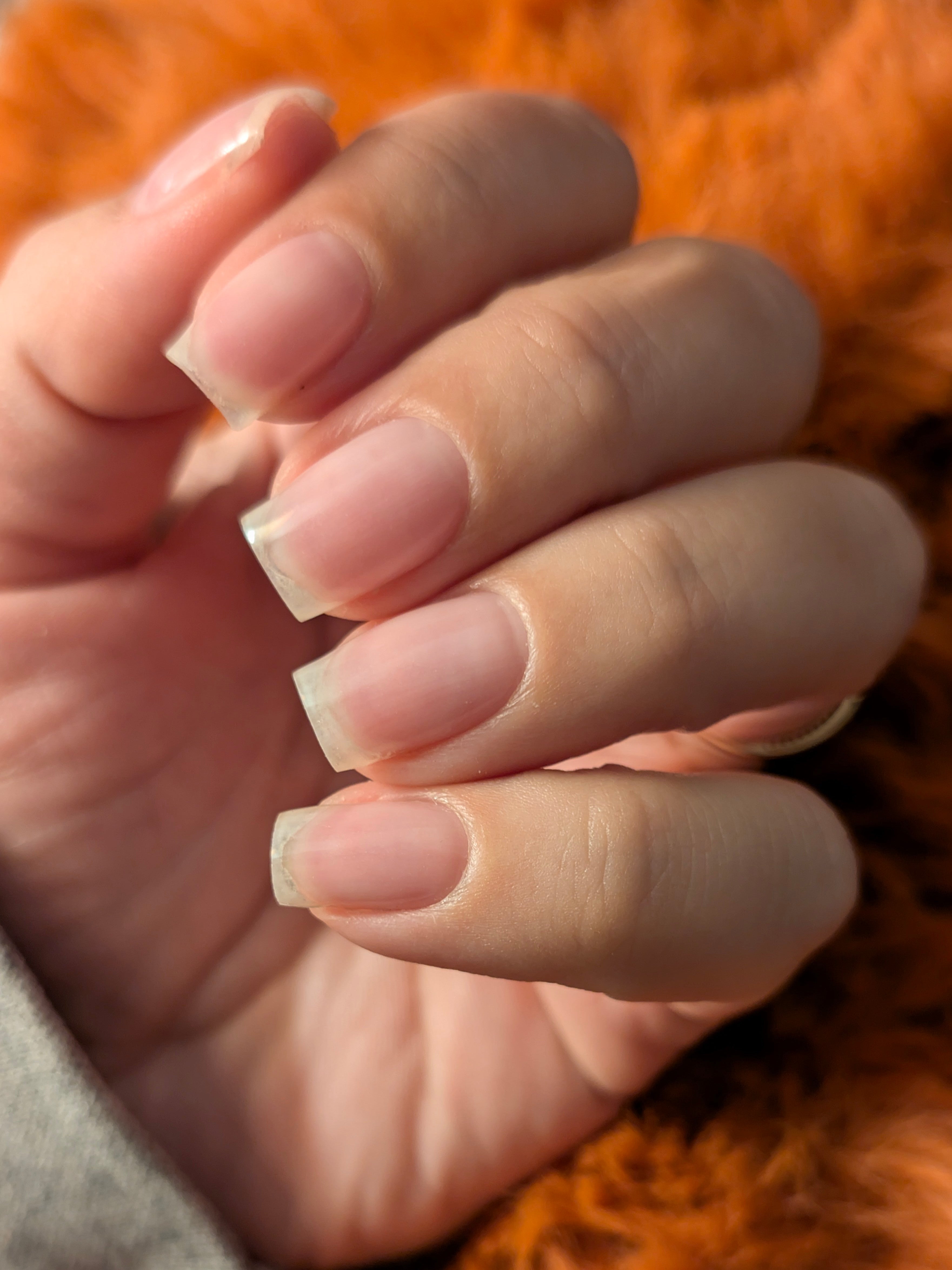 Clear - HEMA Free Builder Gel