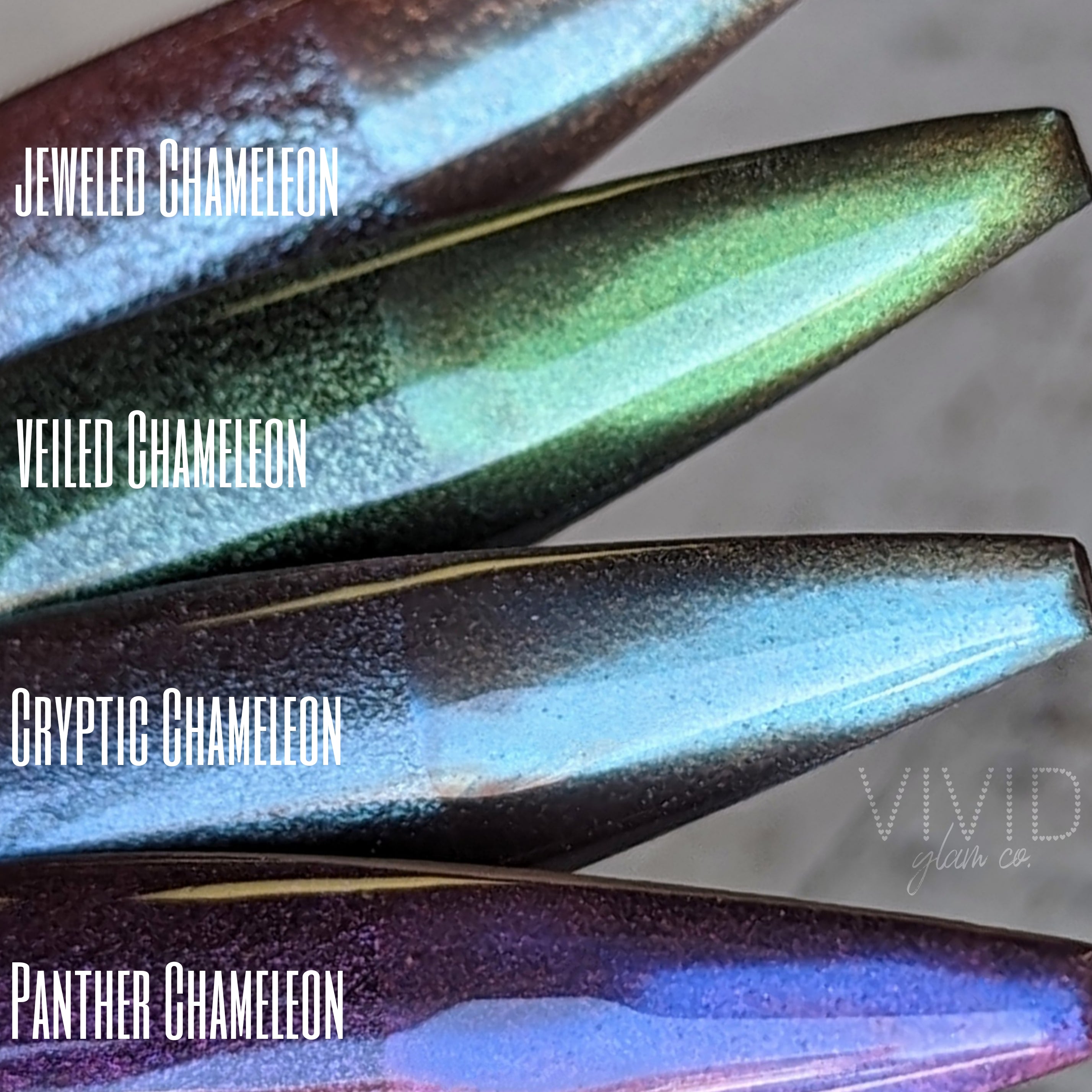 Chameleon Collection