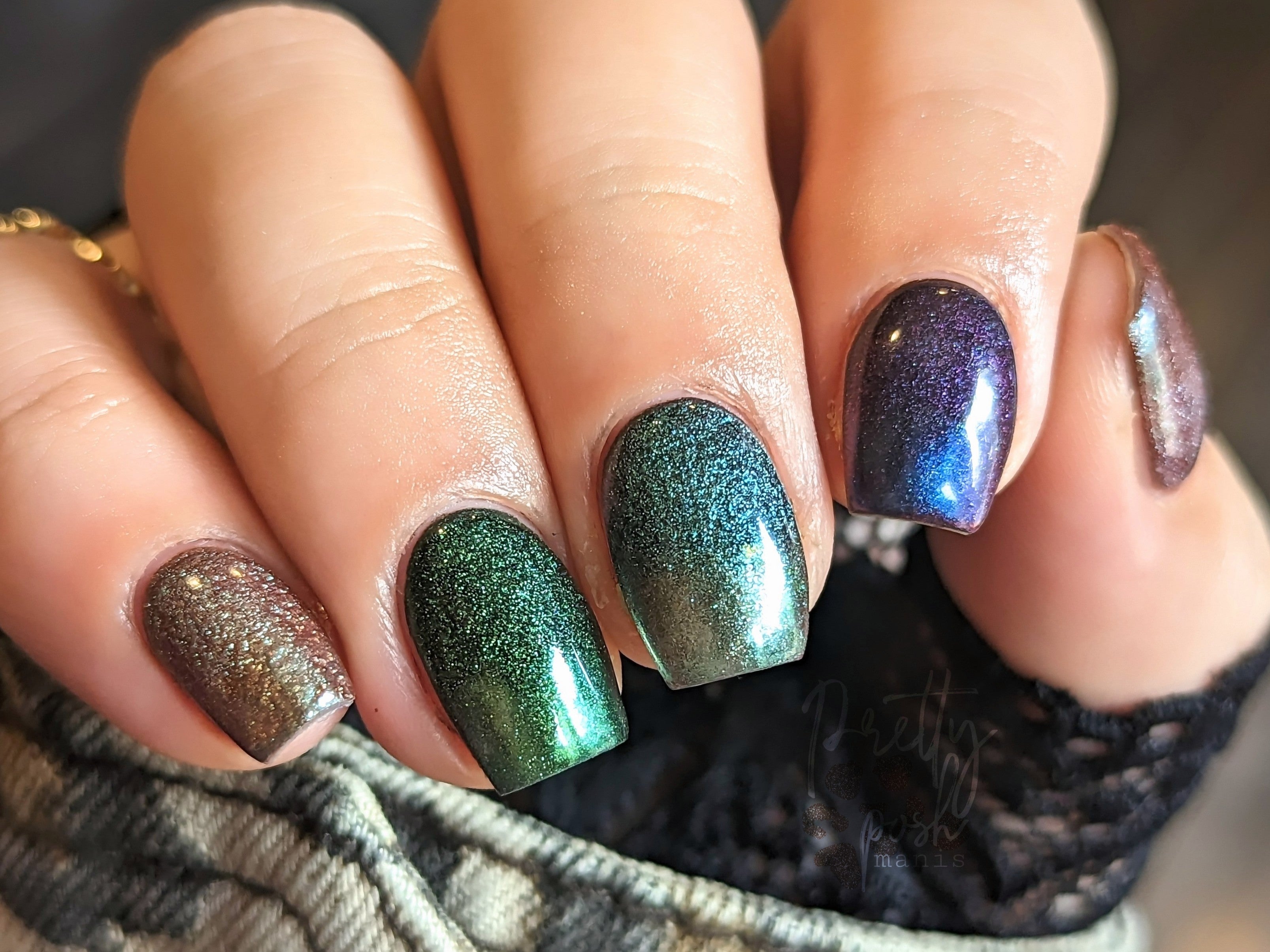 Chameleon Collection