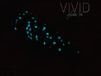 Glimmerwood - Glow Dip Powder