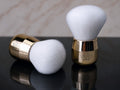 Duster Brush