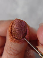 Coral Scales